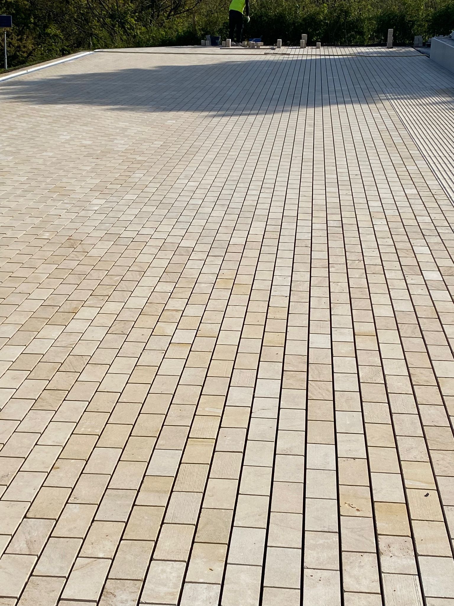 Greenwich Park Revealed - Imagen 1