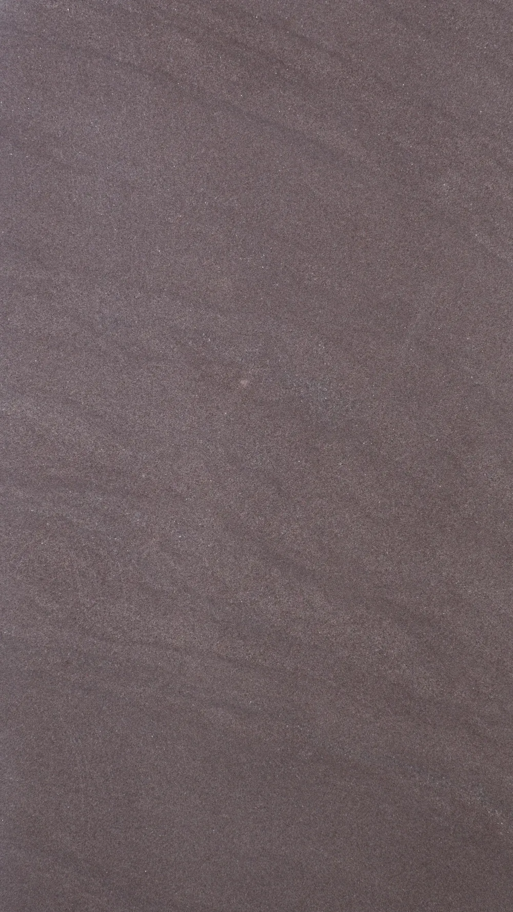 Violet - Imagen principal